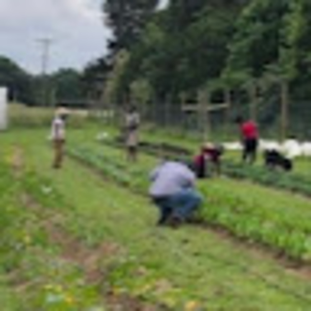 Meet your Posher, Rufus